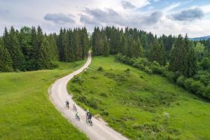 Hostel Bearlog Kočevje 