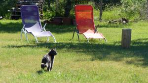 Les Rouges Gorges photo 12