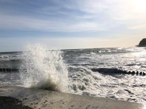 Seaside Park Apartament Prywatny z garażem i widokiem na morze