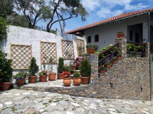 Ammos papanero Pelion Greece