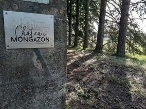 B&B / Chambres d'hotes Chateau de Mongazon : photos des chambres