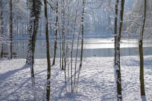 B&B / Chambres d'hotes Le Domaine de Prin : photos des chambres