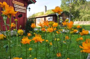 Rondane River Lodge - Rondane Gjestegård