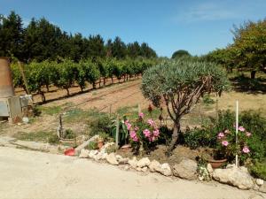 Il Giardino delle Rose A img54