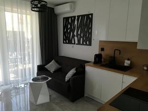 Apartament Wrocław Centrum Dorzecze Legnickiej