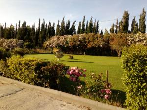 Il Giardino delle Rose A img41