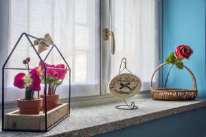 Mini-Appartamenti, Camere Lanterna Blu