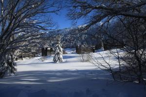 Appartements Studio Village des Longes : photos des chambres