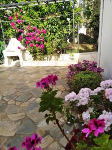 ASTERIA HOUSE Pelion Greece