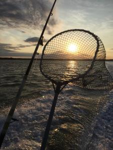Maisons de vacances Pavillon Farniente : photos des chambres