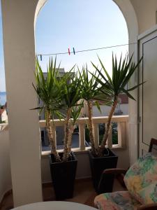 Apartmani Smiljana