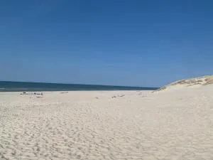 Smołdziński Forest - Główczyce