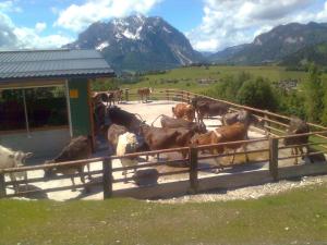 Hüttstädterhof Familie Pötsch