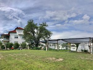 Apartments Andrej - Optuj