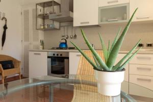 Mamma Ciccia Holiday Home - Conventino