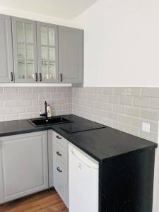 Apartamentai Vytauto g 103A