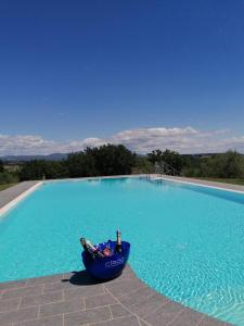 Umbria Luxury Villa Pool&OliveTrees