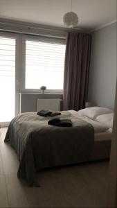 Apartament Bliżej Morza