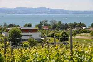 Ferienwohnung Weinbergblick - Hattnau