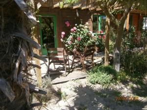 L'Albizia photo 12