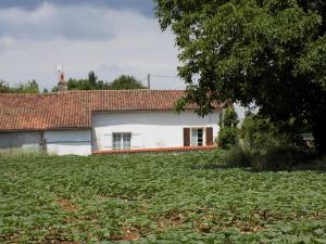 Maisons de vacances La maisonnette : photos des chambres