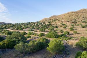 Casas Rurales La Minilla