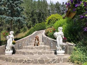 Apartment Villa Sonnegg