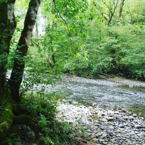 Maisons de vacances Gite de pleine nature en dordogne : photos des chambres