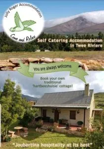 pansy - Klipfontein pansy - Klipfontein