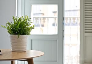 MalagaUrbanRooms - Scenic Flats