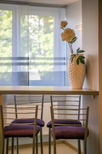 Apartment in the center of Klaipeda Butas Klaipėdos miesto centre