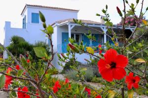 Grand Bleu Apartments & Villas Argolida Greece