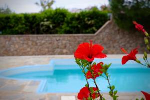 Grand Bleu Apartments & Villas Argolida Greece