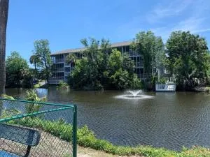 Colony III 203 Condo - Surfside Beach