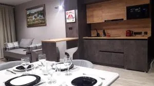 villa Viktor - 特鲁斯卡韦茨