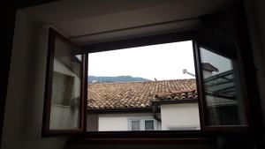 Lady Tulip - monolocale