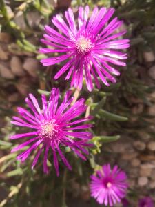 Holiday Home Inga with free private parking