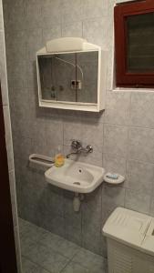 Apartman Irena