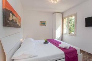 Terre di gallura img38