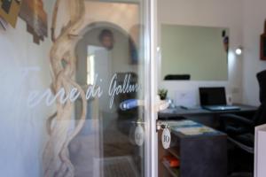 Terre di gallura img6