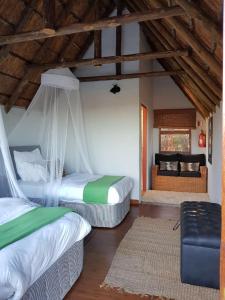 Camp Acacia - Private Safari Lodge with Pool near Amakhala