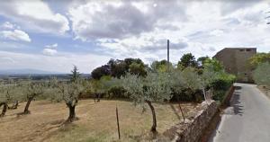 B&B Borgo di Oliveto - Appartamenti con Cucina