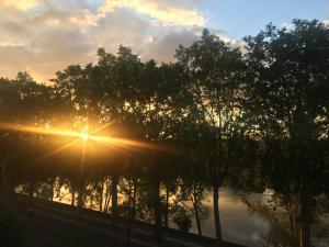 Appartements Loire Terrasse : photos des chambres