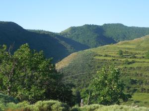 Auberge du Tarnon photo 24