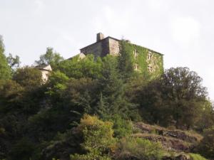 Auberge du Tarnon photo 15