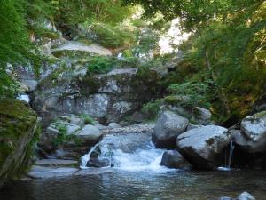 Auberge du Tarnon photo 9