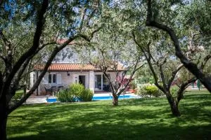 Casa di Oliva - Radini