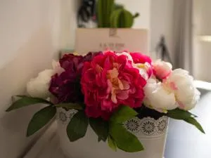 Hotel Scigliano - Oliveto