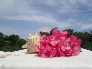 Niriides Apartment - Agios Ioannis Pelio