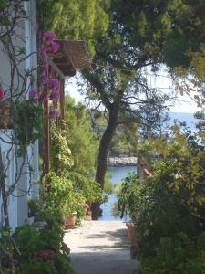 Maria Studios Alonissos Greece